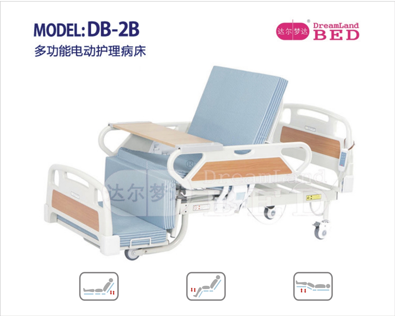 多功能电动护理病床 DB-2B型