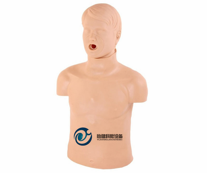 高级成人气道梗塞和CPR模型YJ-CPR145