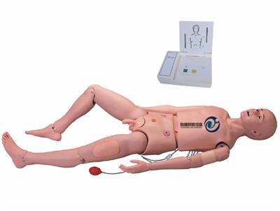 高级成人护理及CPR模型人YJ-3000