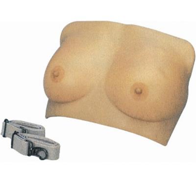 高级乳房检查模型GD-F7A