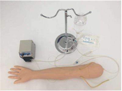 桡动脉穿刺模拟仪QY-SB57