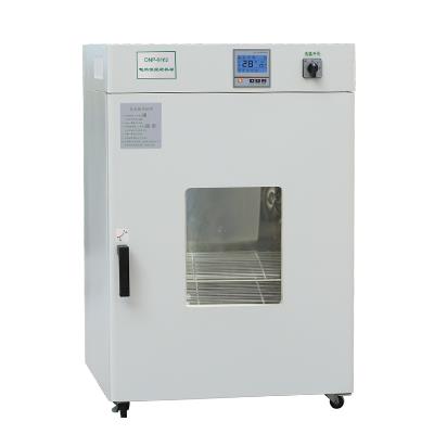 DNP-9162电热恒温培养箱