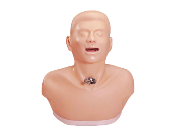 胸腔闭式引流术训练模型