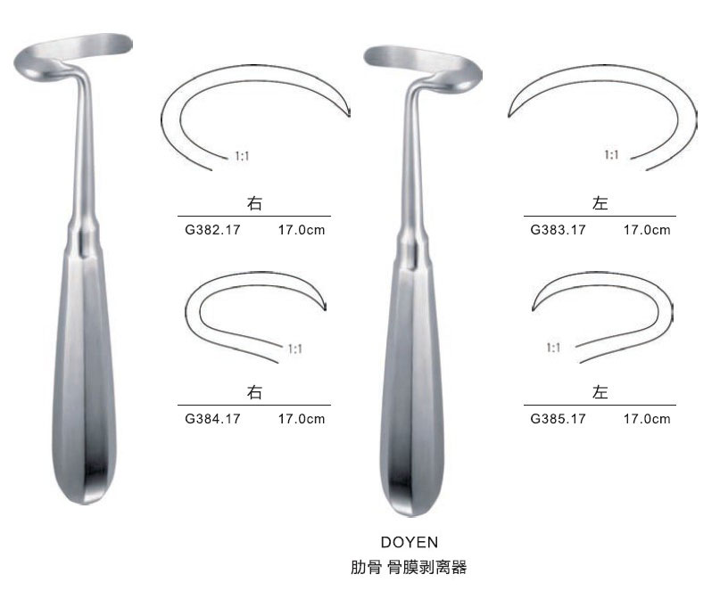 肋骨/左弯/17cm 