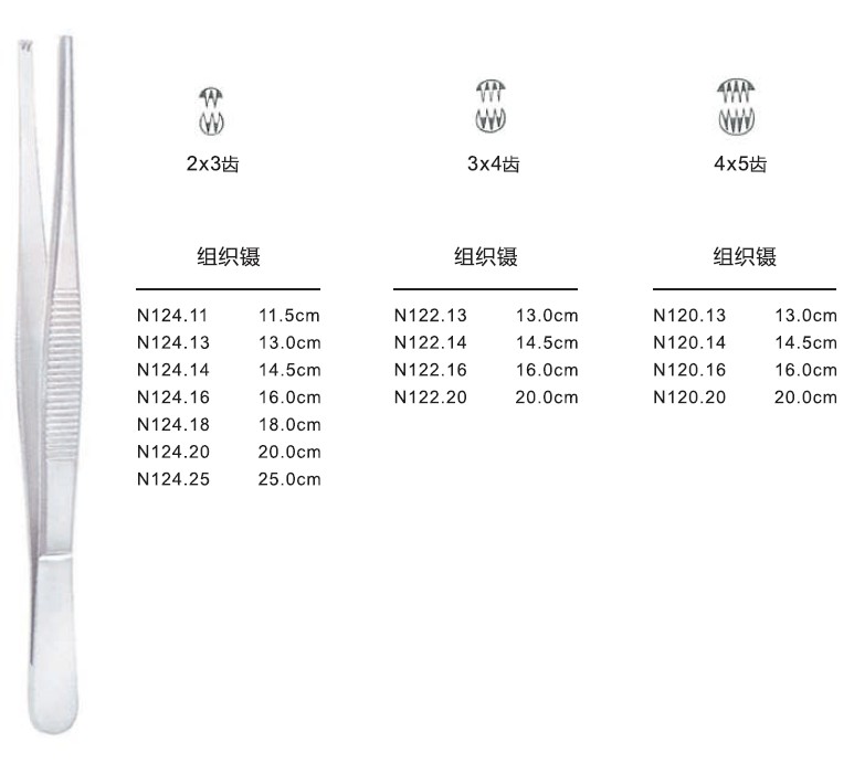 不锈钢组织镊16CM/2×3齿