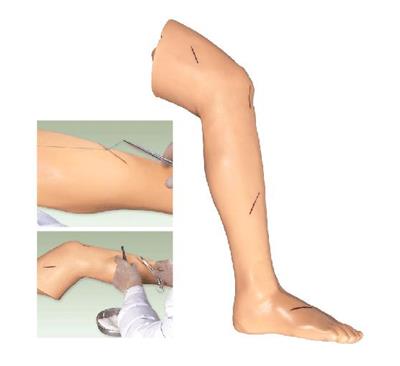 高级外科腿部缝合训练模型LF2