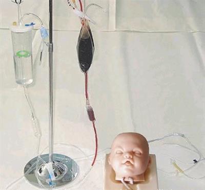 高级婴儿头部静脉穿刺训练模型HK-HS6-1
