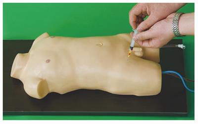 儿童股静脉与股动脉穿刺训练模型HK-L3218