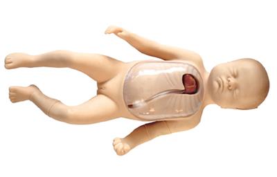 新生儿外周中心静脉插管模型HK-L67B