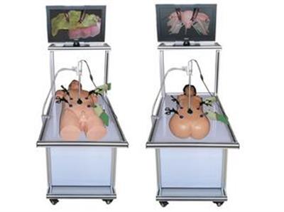 腹腔镜手术技能训练人体模型HK-FQJ600
