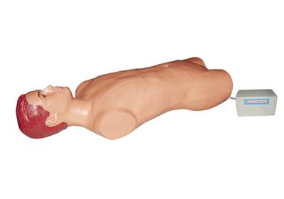 腹腔与股静脉穿刺电动模型HK-FGJⅡ