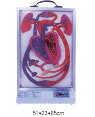 电动心脏博动与血液循环模型HK-A1078
