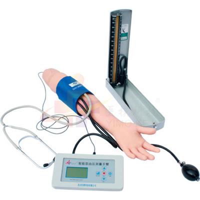 血压测量操作手臂模型