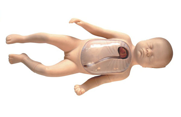 新生儿外周中心静脉插管模型L67B