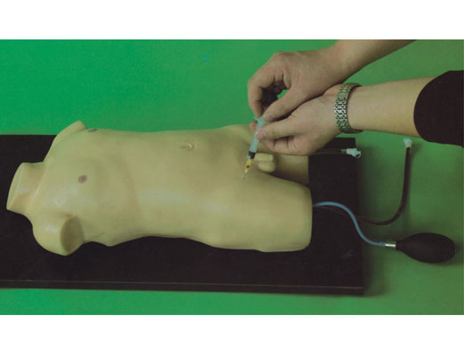 儿童股静脉与股动脉穿刺训练模型L462