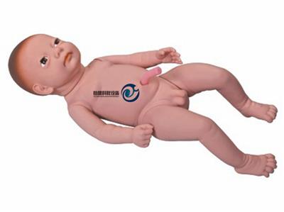 高级出生婴儿附脐带模型YJ-FT2