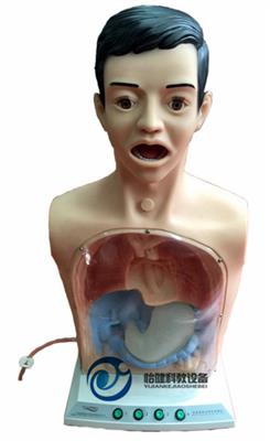 带警示透明洗胃机制模型YJ-H7-2
