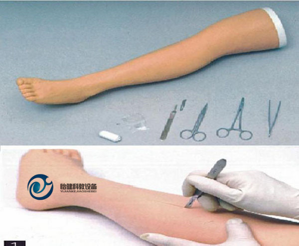 高级外科腿部缝合训练模型YJ-FT