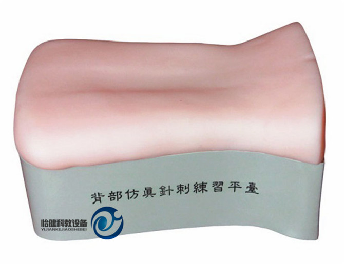 背部仿真针刺练习平台ZJ-B 