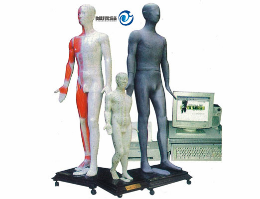 多媒体人体针灸穴位发光模型MAW-100E