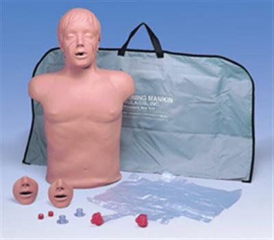 心肺复苏（CPR）躯干模型-德国3B-W44597