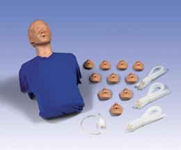 心肺复苏（CPR）躯干模型-德国3B-W44537