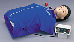 半身CPR模型人-LF03714U