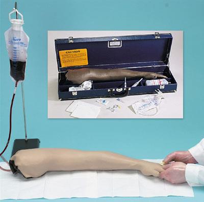 成人静脉注射及穿刺手臂模型LF00698U