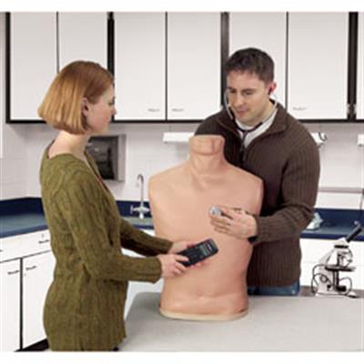 心肺音听诊训练模型-LF01142U