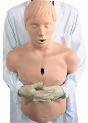 高级成人气道梗塞和CPR模型CPR145
