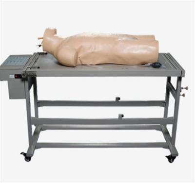 高级综合穿刺术与叩诊检查技能训练模拟人GD-L260A