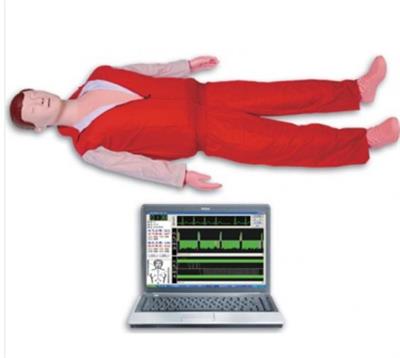 高级全自动电脑心肺复苏模拟人STY-CPR780