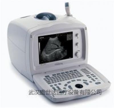 全数字便携式超声诊断系统DP-2200