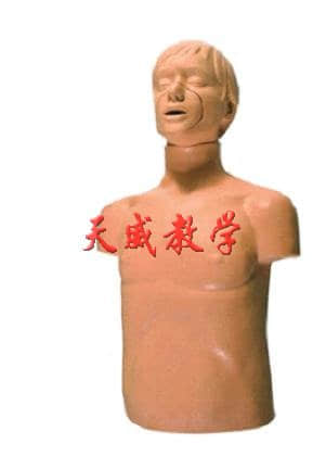 半身心肺复苏训练模拟人TW-CPR169