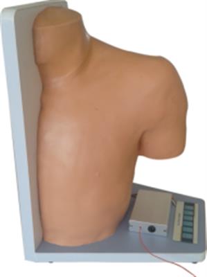 肩关节腔内注射模型QY114-62