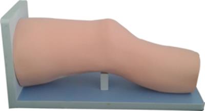 膝关节腔内注射及抽吸模型QY114-64