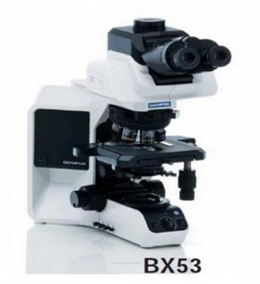 生物显微镜 BX53(LED)