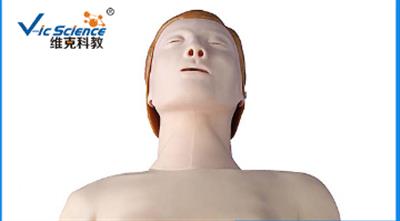 半身电子心肺复苏模型(男性/女性)VIC-404A/B 