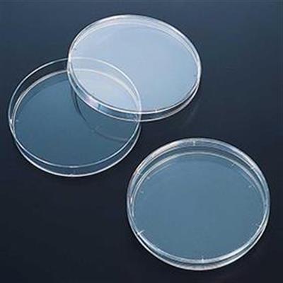 细菌培养皿