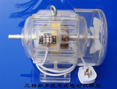 透明教学电机模型MYMX-03三相异步双槽鼠笼式电动机模型