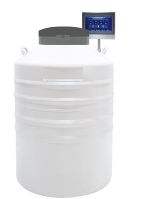 小型气相液氮罐