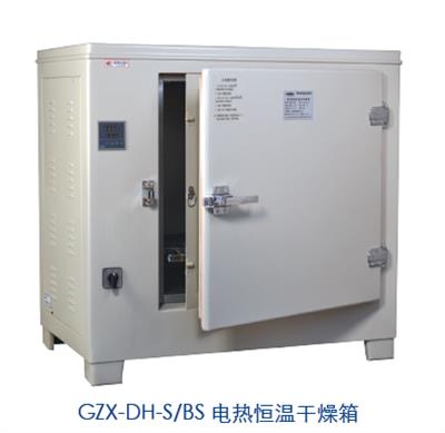 电热恒温干燥箱HGZN-270