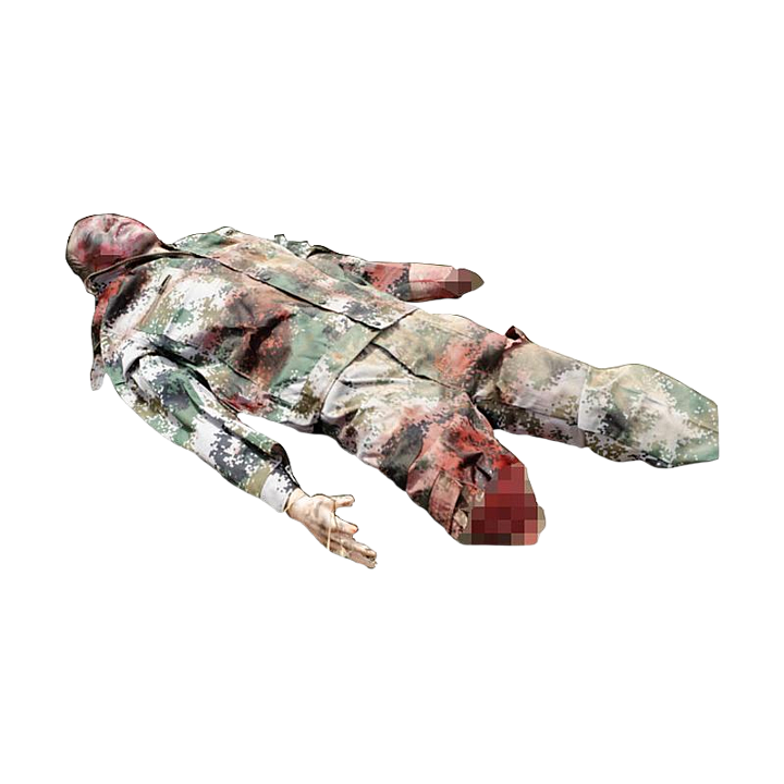 盘古卫勤 野战基础伤情模拟人 PC-PS002