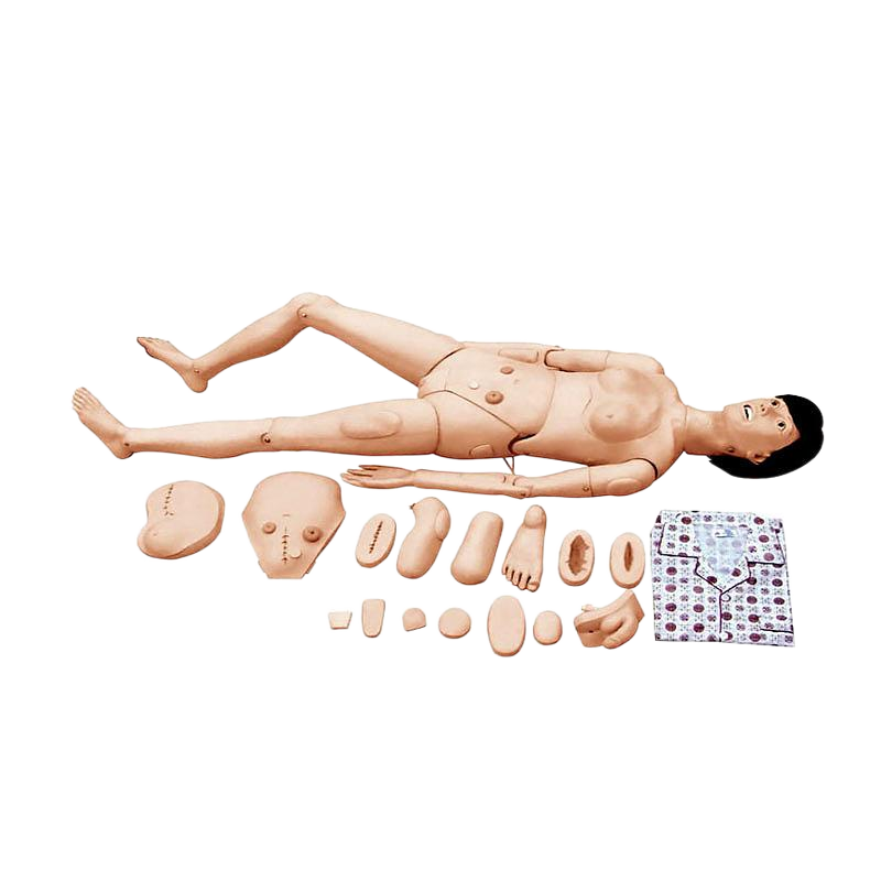 宸博 全功能护理仿真标准化病人 CB/H120B