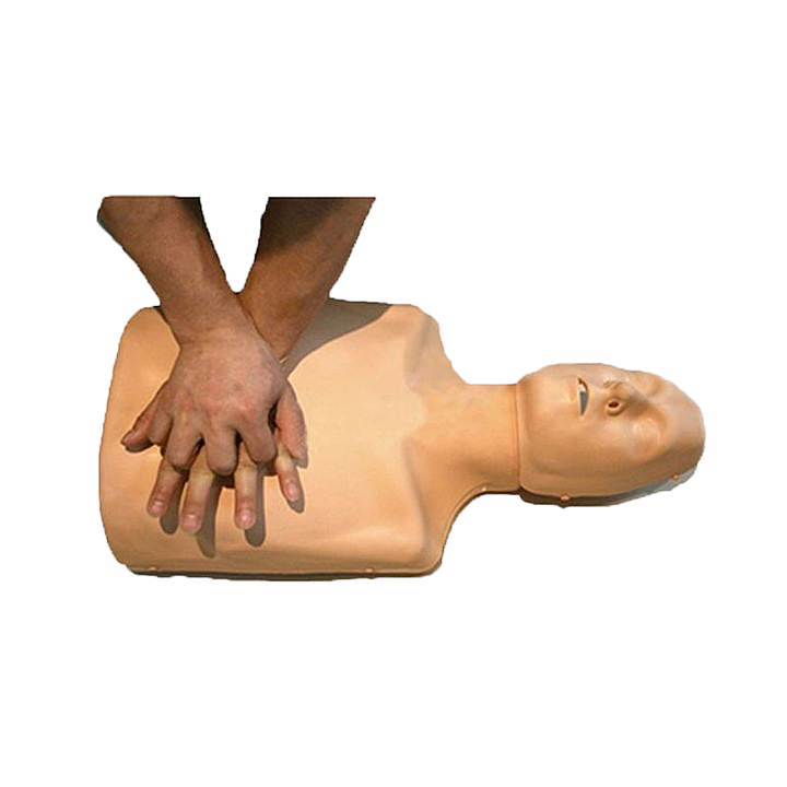 宸博 心肺复苏模拟 人CB/CPR185+
