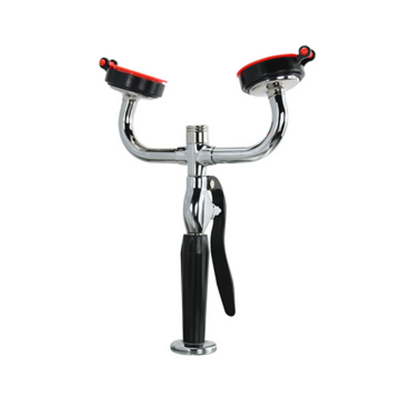 上海补天 台式双口洗眼器 BTT2H-2