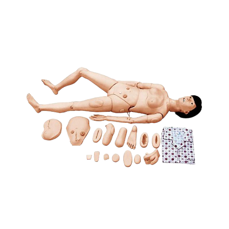 宸博 高级全功能护理训练模拟人 CB/H120A（男性）