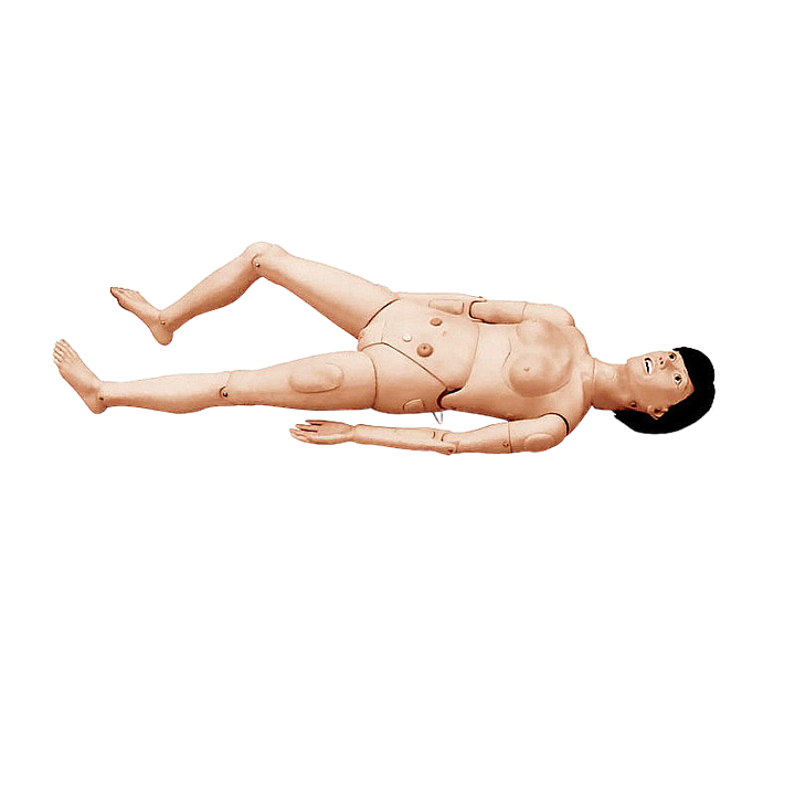 宸博 高级全功能护理训练模拟人（女性） CB/H120B