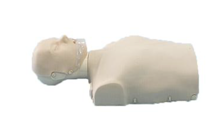 怡然 半身简易心肺复苏模拟人 YR-CPR100C
