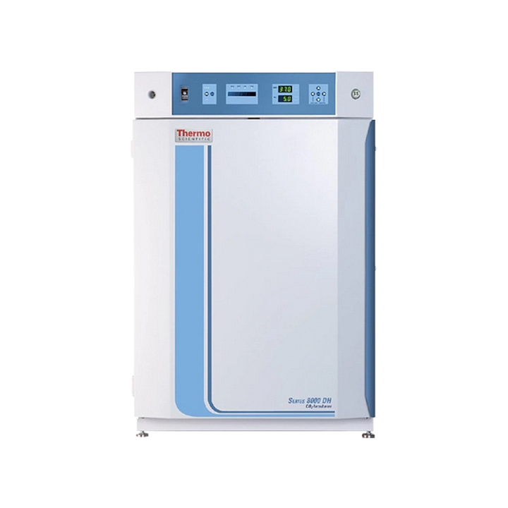 赛默飞世尔 Thermo 二氧化碳培养箱CO2 Incubator 311